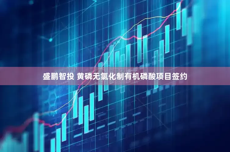 盛鹏智投 黄磷无氯化制有机磷酸项目签约